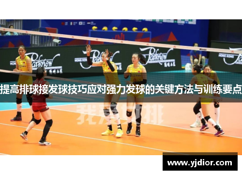 提高排球接发球技巧应对强力发球的关键方法与训练要点